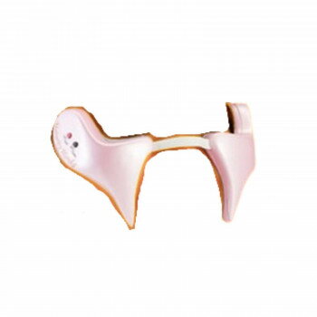 マチュアラティハルカ　粘着パッド2組セット