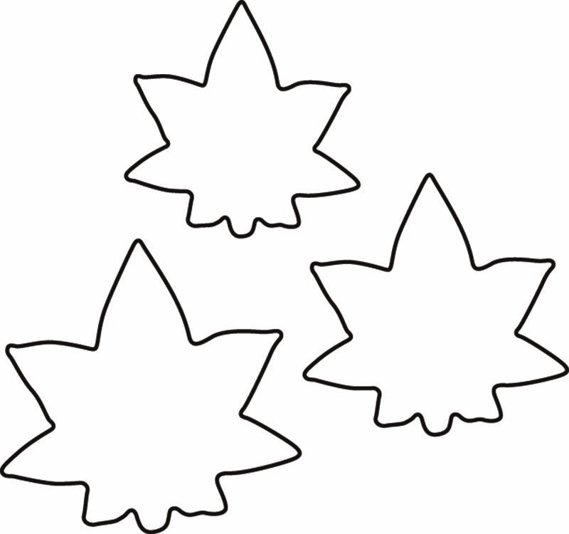 カンダ たかもりの生抜 3PC 紅葉　078004