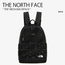 THE NORTH FACE ノースフェイス リュック TNF MESH BACKPACK メッシュ バックパック デイパック バッグ リュックサック 通勤 通...