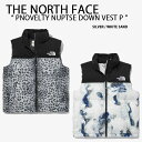 THE NORTH FACE ノースフェイス ダウンベスト NOVELTY NUPTSE DOWN VEST P ダウン ベスト ヌプシダウン SILVER W...