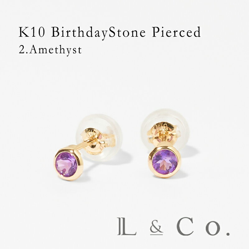 【倉庫発送】K10 バースデー ピアス 誕生石　イエローゴールド　バースデーストーン　スタッドピアス　アメジスト　2月　誕生日　プレゼント　ギフト　普段使い　1粒