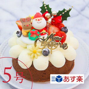 クリスマスケーキ ベルギー産チョコとベリー系フルーツの酸味がベストマッチしたノエル・ガトーショコラ ”5号【6〜8人向け】 クリスマス ケーキ 誕生日 バースデー スイーツ ギフト パーティー ホールケーキ あす楽 お祝い プレゼント