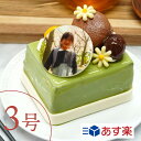 3号 写真ケーキ 【あす楽】 京都の高級宇治抹茶を使っ