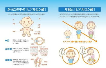 モアリッチ ヒアルロン酸DE顔晴る 120粒 2箱セット ビタミンC ビタミンE ヒアルロン酸 コラーゲン コンドロイチン コエンザイム 美容サプリメント カプセル 粒 粒状 美容 健康 サプリ サプリメント 関節 老眼 視力 髪の毛 抜け毛 インナーケア メンズ レディース 男性 女性