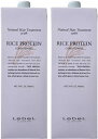 【リニューアル】 ルベル ナチュラル ヘアトリートメント ウィズ RP ライスプロテイン 1600ml / 1.6L パウチ 詰替 リフィル 2個セット
