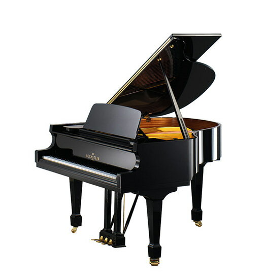 C. BECHSTEIN A160