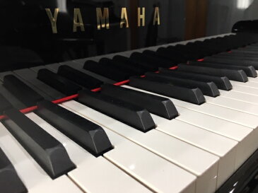 YAMAHA C3X【現行商品】