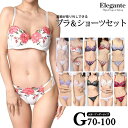 大きいサイズ 下着 レディース ブラジャー ショーツセット 上下セット ブラセット Gカップ G70 G75 G80 G85 G90 G95 G100 M L LL 3L 4L 5L 肩紐取り外し可 モールドカップ 新色入荷 ネコポス不可