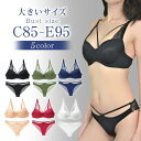 大きいサイズ レディース ブラジャー ショーツセット 上下セット ブラセット ストリング 2段ホック C85 C90 C95 D85 D90 D95 E85 E90 E95 LL 3L 新入荷 ネコポス不可