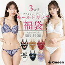 大きいサイズ 下着 福袋 2024 ブラジャー ショーツセット 上下セット ブラセット B85 B90 B95 C85 C90 C95 D85 D90 D95 E80 E85 E90 E95 E100 F80 F85 F90 F95 F100