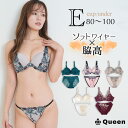 ブラジャー ショーツセット レディース 下着 大きいサイズ E80 E85 E90 E95 E100 脇高 ソフトワイヤー モールドカップ 大きめアンダー