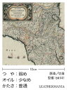 【11×21cm】ピッグスエード 古地図柄 アイボリー