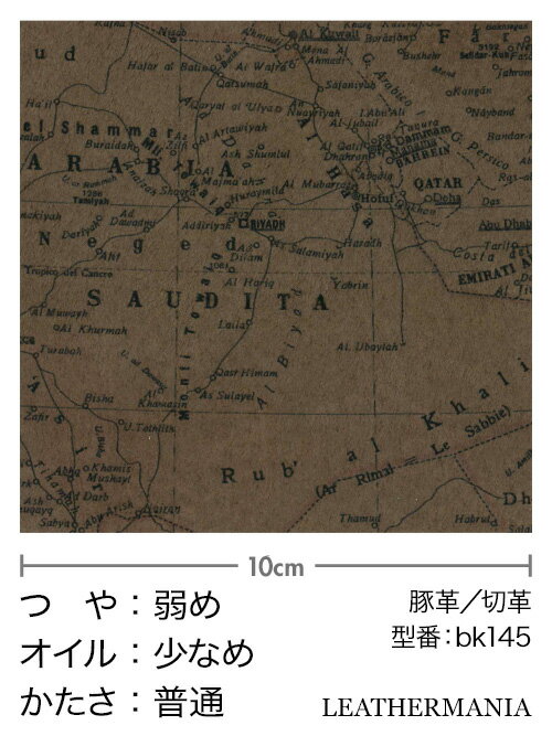 【A5サイズ】ピッグスエード 古地図柄 チョコ