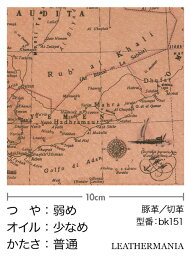 【11×21cm】ピッグスエード 古地図柄 ピンク