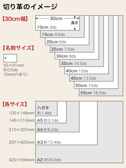 【名刺サイズ】牛ヌメ革/TEMPESTI/エルバマット(全18色)