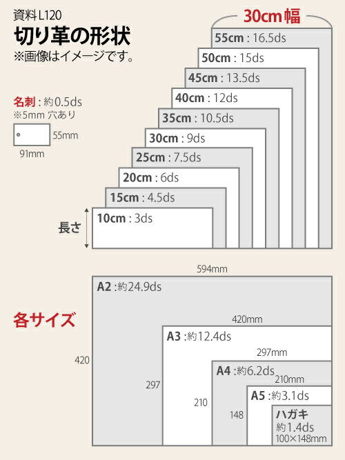 【30cm幅切り革】牛ヌメ革 栃木レザー サドル ブラック 3