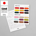 Lized 【サンプル帳】塗料色見本 NEOエッジカバー