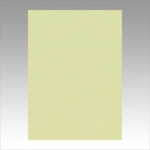 リンテック【AC】ニューカラー4切100枚　もえぎ A-4954022641245★【GO4NCR-124】