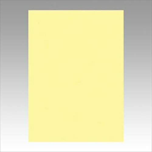 リンテック【AC】ニューカラー4切100枚　ライトイエロー A-4954022641344★【GO4NCR-134】