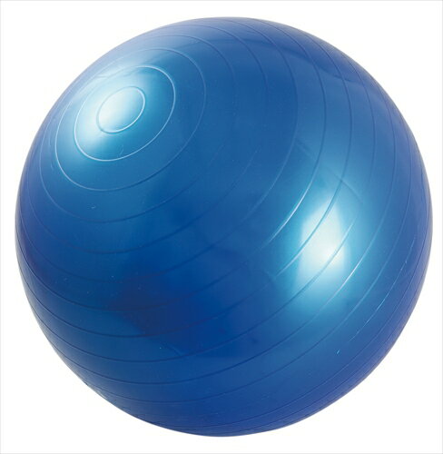 【教育・教材】AR4521718711232 アーテック バランスボール 【教育・教材】AR4521718711232 アーテック バランスボール