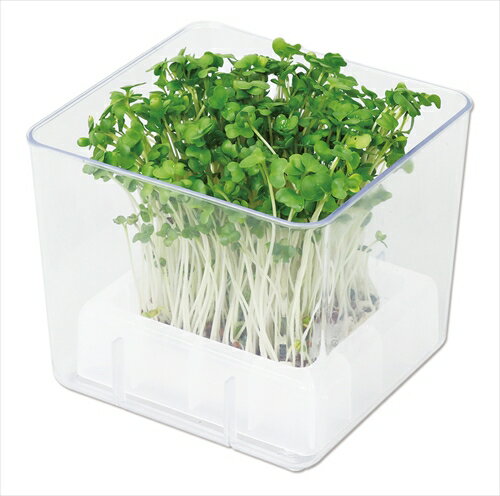 【教育・教材】AR4548030029807 アーテック スプラウト栽培キット カイワレダイコン(夏工)