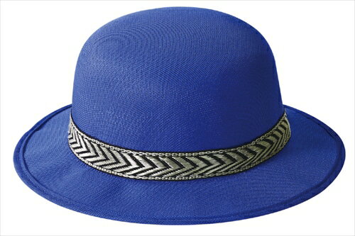 【教育・教材】AR4521718045788 アーテック カラフルハット 青