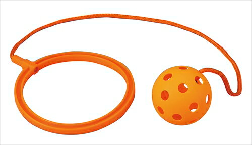 【教育・教材】AR4521718118987 アーテック カラフルスキップ オレンジ 【教育・教材】AR4521718118987 アーテック カラフルスキップ オレンジ