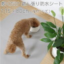 三愛繊維【ペット用踏ん張り防水シート】コンフィ・マルチシート 115×80cm グレー comfyms-M-GY★【滑り止めシート】(4)