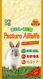 ハイペット【ペット用品】 パスチャーアルファルファ400g P-4977007070205