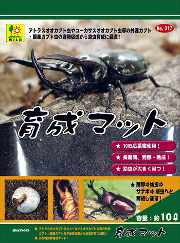 こだわり素材のカブトムシ用マット外産カブト虫(アトラス・コーカサス・ヘラクレス)から国産カブト虫の産卵から幼虫・幼虫からサナギ・サナギから成虫への育成、羽化率をUPさせる為、天然広葉樹材に発酵菌を添加し、長時間、発酵熟成させたマットです。材質/素材:天然広葉樹材原産国または製造地:日本諸注意:※本品は外産、国産カブト虫用飼育マットです。 ※他の目的及び対応生体以外には使用しないで下さい。 ※菌糸(カビのような糸状の物)が発生する場合がありますが問題ありませんのでよく揉んでほぐしてからご使用下さい。 ※薬剤等使用していないのでマットに虫がつく場合があります。 ※その場合マットを広げ天日干しにするか冷凍駆除させてからご使用下さい。 ※幼児の手の届かない、また直射日光の当たらない涼しいところに保管下さい。 ※本品が再発酵してマットに熱を持ち発酵臭がする場合はマットを別な場所で広げ冷ましてからご使用下さい。