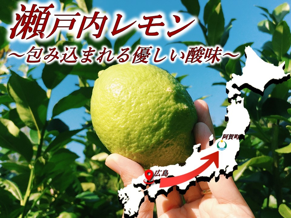 【職人本気の一品】4個入小町レモンレモンケーキ4個スイーツ洋菓子お取り寄せスイーツギフトお返しお取り寄せスイーツご当地スイーツギフト贈答品贈り物美味しいお菓子プレゼントお祝いお土産新潟きりん堂