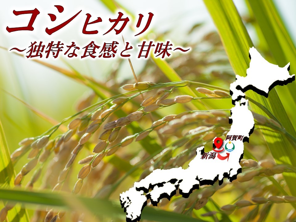 【職人本気の一品】4個入小町レモンレモンケーキ4個スイーツ洋菓子お取り寄せスイーツギフトお返しお取り寄せスイーツご当地スイーツギフト贈答品贈り物美味しいお菓子プレゼントお祝いお土産新潟きりん堂