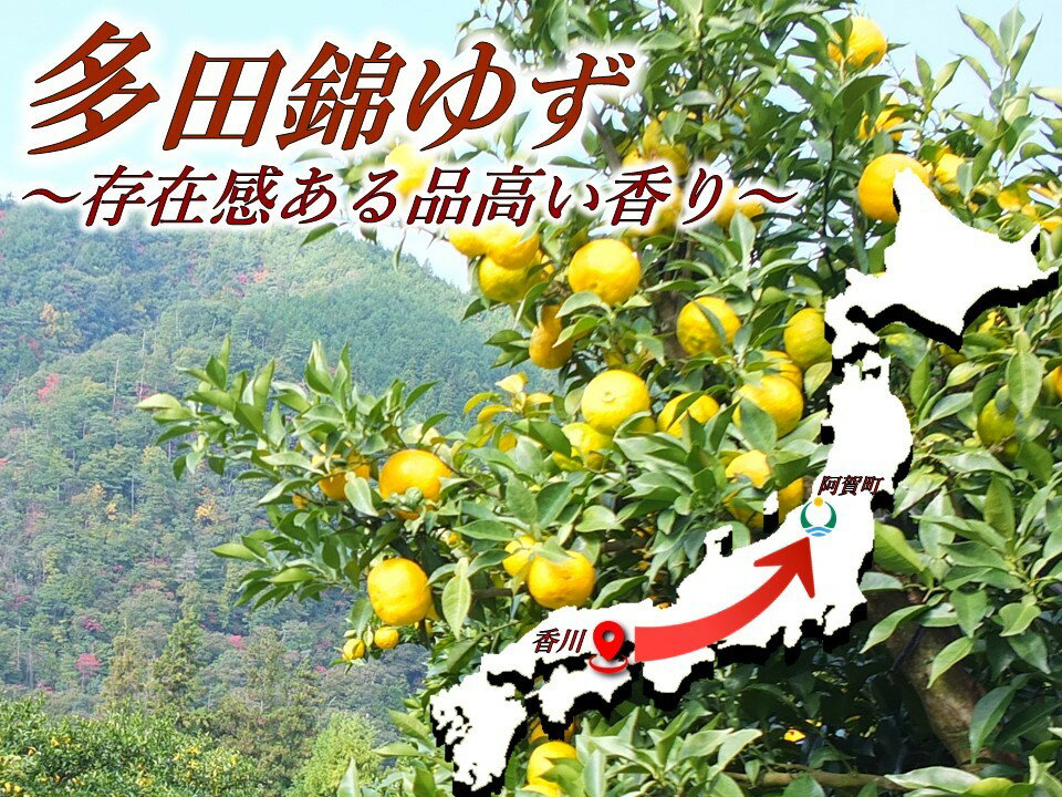 【職人本気の一品】4個入小町レモンレモンケーキ4個スイーツ洋菓子お取り寄せスイーツギフトお返しお取り寄せスイーツご当地スイーツギフト贈答品贈り物美味しいお菓子プレゼントお祝いお土産新潟きりん堂