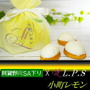 れもんケーキ 5個入 / 宮崎 名産品 洋菓子 手土産 おやつ デザート 国産レモン 宮崎産 記念品 お祝い 土産 ギフト プレゼント オッティモ あんでる船【クール便配送】