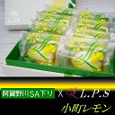 【ふるさと納税】【川崎市にあるケーキ屋パティスリーノコノコ】シェフ自慢のレモンケーキ5個