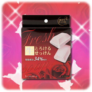 《A》シアンADG とろける生石鹸【DC】（洗顔フォーム・美肌に・とろとろ）【b_2sp0802】楽天HC【e-netshop】□□□