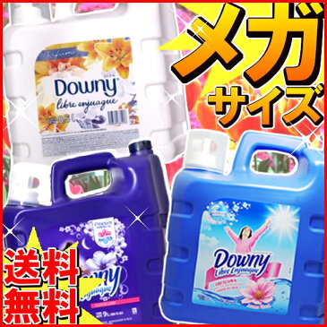 柔軟剤 メキシコダウニー アロマフローラル 8.5L 送料無料 非濃縮 非濃縮タイプ 柔軟剤 ダウニー downy 大容量 本体 特大 洗濯 ボトル ランドリー 液体 液体柔軟剤 洗濯柔軟剤 【D】