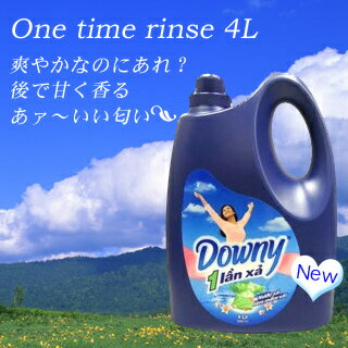 アジアンダウニー サンライズフレッシュ 4L 3本セット 送料無料 ダウニー 柔軟剤 Downy 液体柔軟剤 ベトナムダウニー 4000ml ボトル 約3.8〜4L サンライズ フレッシュ オドープリベンション 約4000ml 濃縮タイプ 匂い 青 【D】◆2【S】