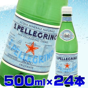 炭酸水 天然水 送料無料 サンペレグリノ 天然炭酸水ペットボトル 500mL× 24本入【D】（Sanpellegrino S.PELLEGRINO 0.75L サンペリグリノ海外名水・水・ミネラルウォーター サンペレグリノ ）【代引き不可】