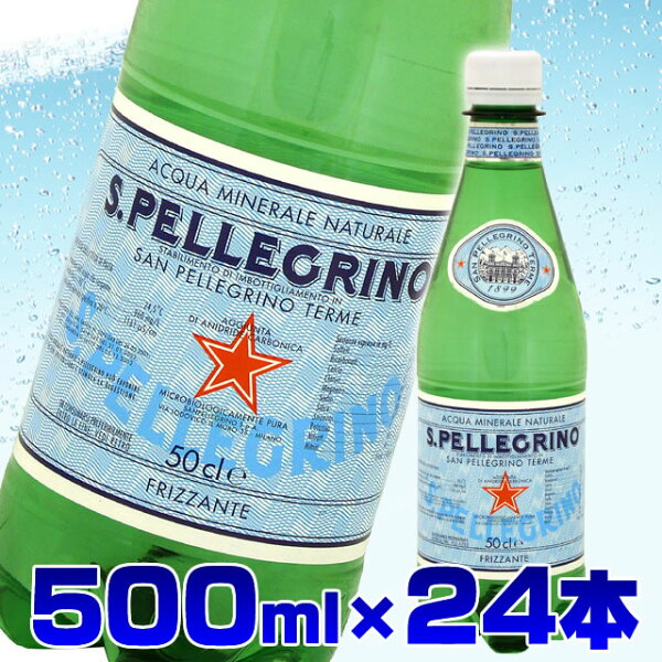 炭酸水 天然水 送料無料 サンペレグリノ 天然炭酸水ペットボトル 500mL× 24本入【D】（Sanpellegrino S