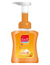 泡ミューズ フルーティフレッシュ 本体 250mlミューズ ハンドソープ 泡タイプ 消毒 殺菌 石けん 保湿成分 詰め替え 薬用 レキットベンキーザー