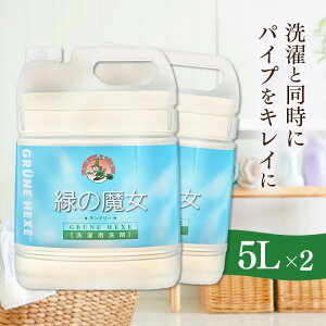 【2本】 緑の魔女 5L ランドリー 洗濯洗剤 業務用 5KG 送料無料 洗剤 業務用 洗濯 パイプクリーナー 排水管掃除 洗剤業務用 洗剤パイプクリーナー 業務用洗剤 パイプクリーナー洗剤 業務用緑の魔女 ミマスクリーンケア [NB]