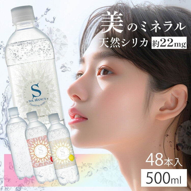 【48本】炭酸水 シリカ炭酸水SOL ソール天然水仕込み 500ml 炭酸水 シリカ炭酸水 シリカ 天然水シリカ ミネラル炭酸水 SOL 天然水シリカ 九州日田産 ケイ素 【D】【代引き不可】【pickup】のサムネイル