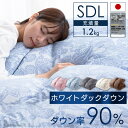 羽毛布団 ホワイトダックダウン90% 1.2kg セミダブルロング PAA19RP 羽毛布団 羽毛ふとん 羽毛 掛け布団 掛布団 ダックダウン セミダブル SDL 日本製 抗菌 防臭 アレル対策 寝具 布団 インテリア 全6色