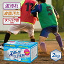 洗濯洗剤 スポーツウェア 粉末洗剤 スポーツ衣類用洗剤 抗菌プラス 1.0kg×2強力洗浄 抗菌消臭 泥汚れ 汗 血液 無香料 ユニフォーム 練習着 靴下 2kg