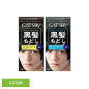 ギャツビー ターンカラー mandom マンダム GATSBY ギャツビー ヘアカラー 黒髪戻し セルフカラー クリームタイプ アクアフルーティ ブラック マンダム ナチュラルブラック スモーキーブラック