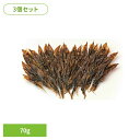 【3個】ほたるいか素干し 無添加 70g ホタルイカ 素干し 日本海 干物 つまみ 肴 送料無料 たっぶり 手間ひま 炙り Tokka 【TD】 【代引不可】