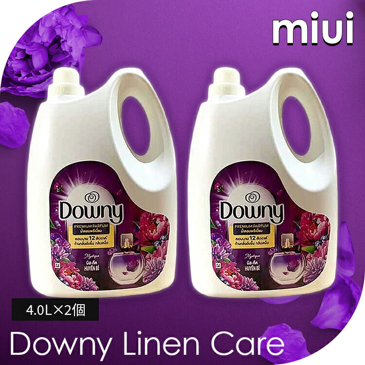 ������������ˡ� ��ͥ󥱥� �ߥ��ƥ����� 4.0L 2�ĥ��å� ����� �����ˡ� Downy