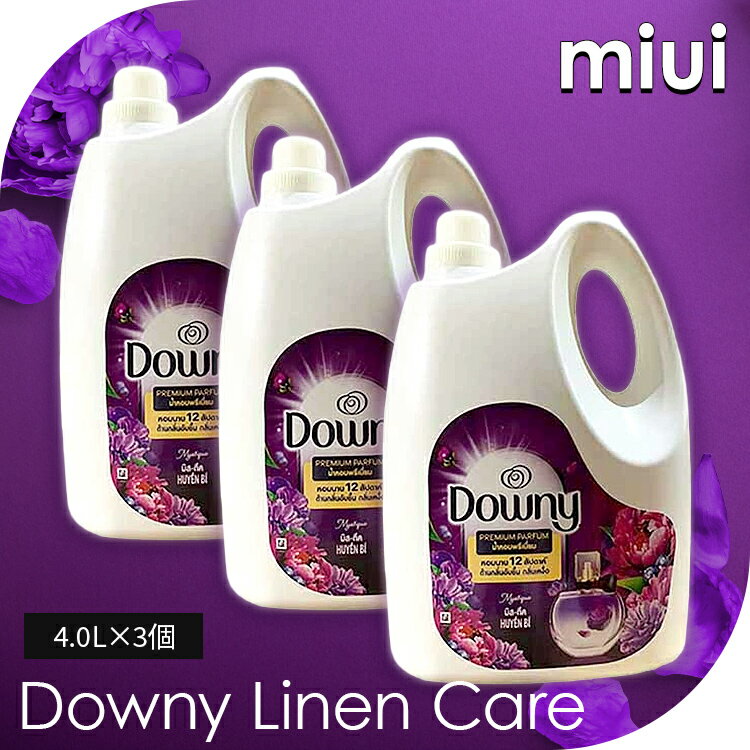 ������������ˡ� ��ͥ󥱥� �ߥ��ƥ����� 4.0L 3�ĥ��å� ����� �����ˡ� Downy