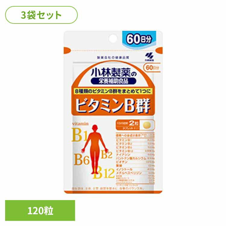 【3袋】ビタミンB群 120粒 ビタミン 美容 健康食品